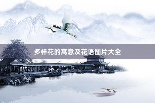 多样花的寓意及花语图片大全