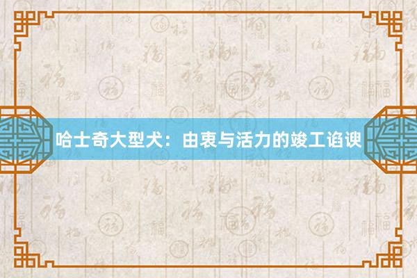 哈士奇大型犬：由衷与活力的竣工谄谀